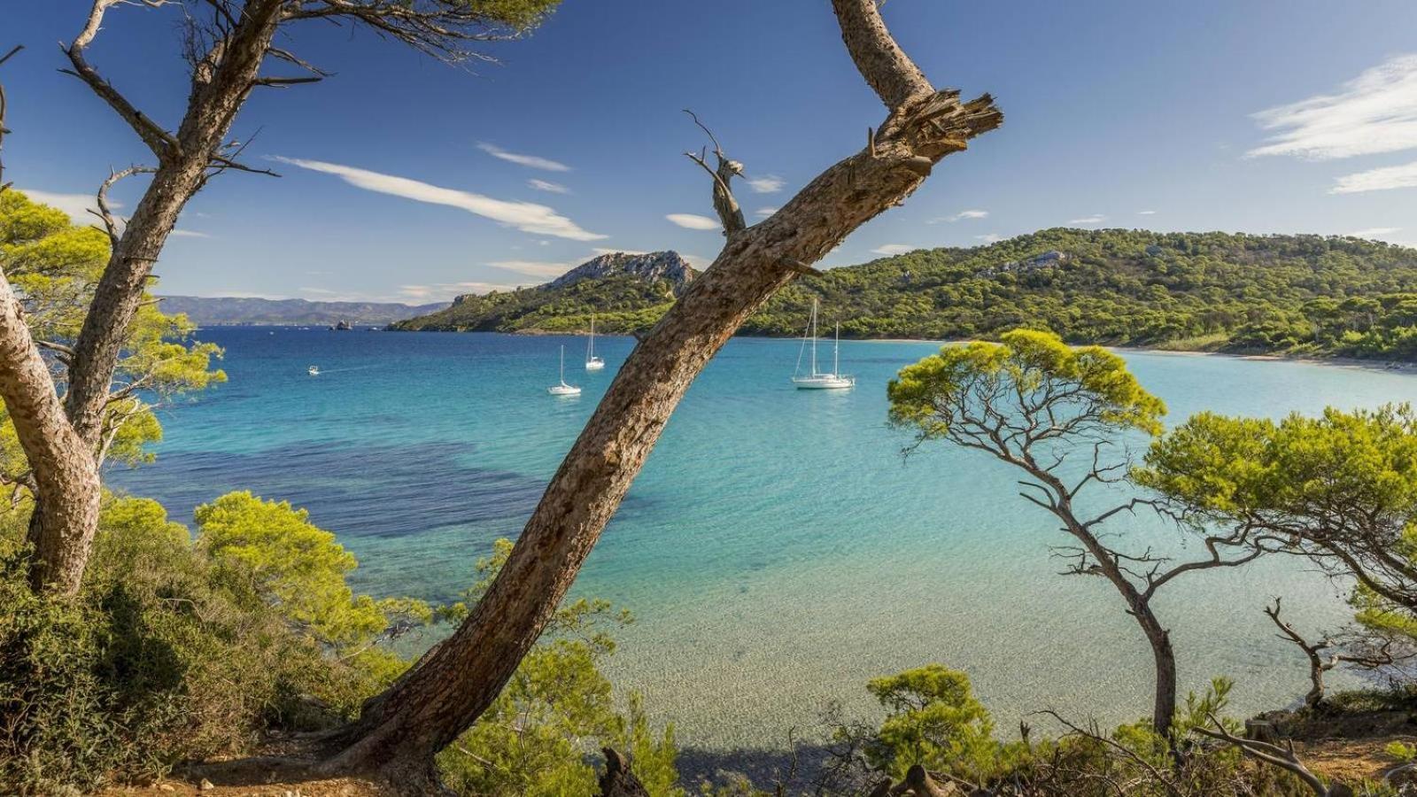 Calme Et Confort En Rez-De-Jardin La Londe-les-Maures Exterior photo